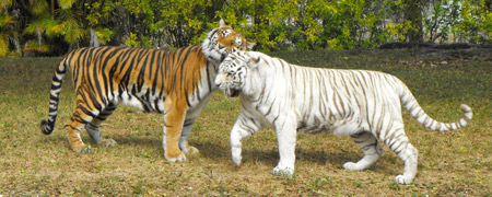 Miami Metro Zoo