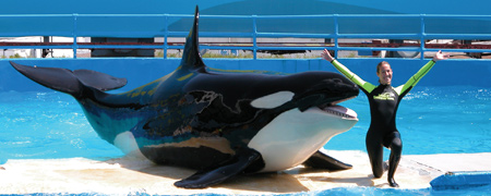 Miami Seaquarium